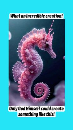 a pink sea horse in the water with bubbles around it's neck and tail