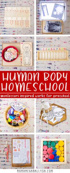 several different pictures of various items in a box with the words human body homeschool