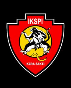 an image of a logo for the kpisi karate team on a black background