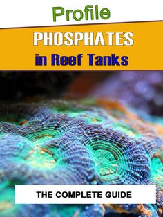 the complete guide to propotates in reef tanks, including corals and other marine life