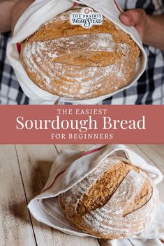 the best sourdough bread for beginners