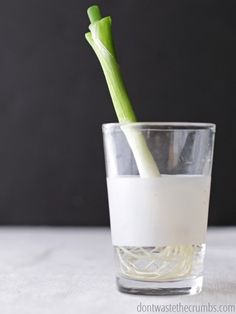 a green plant sticking out of the top of a glass filled with water and liquid