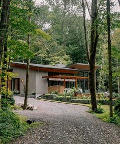 a house in the woods with lots of trees around it and gravel path leading up to it