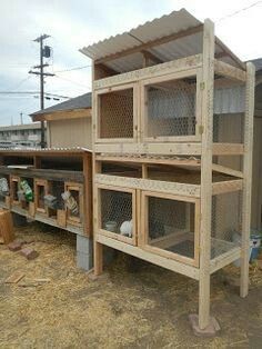 an outdoor coop with several cages on the top and bottom floor, in front of a building