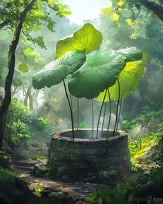 two large green leaves sitting on top of a tree stump in the middle of a forest