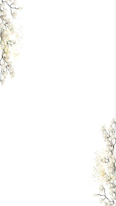 a white background with flowers and leaves in the corner, on top of each other