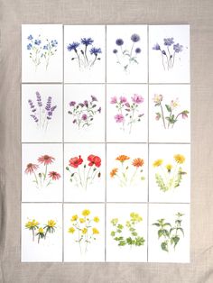 nine different types of wildflowers are displayed on a sheet of white paper,