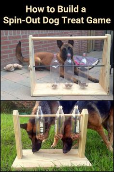 a dog that is playing with some bottles in it's mouth and the words how to build a spin - out dog treat game