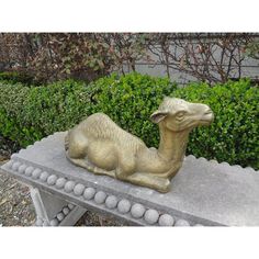 a statue of a camel sitting on top of a cement bench in front of bushes