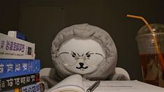 a stuffed animal with glasses on it's head next to books and a drink