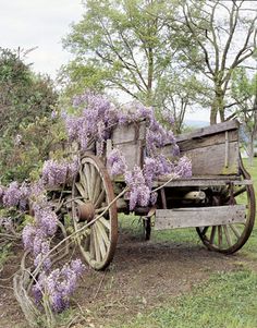 an old wooden wagon with purple flowers on it