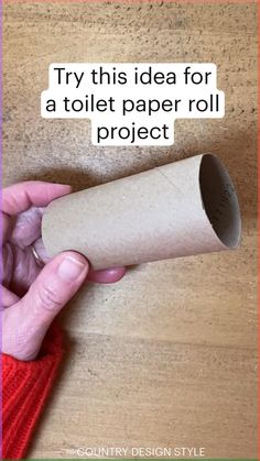 someone is holding a toilet paper roll with the words try this idea for a toilet paper roll project