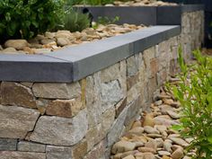 a stone wall with plants and rocks on it