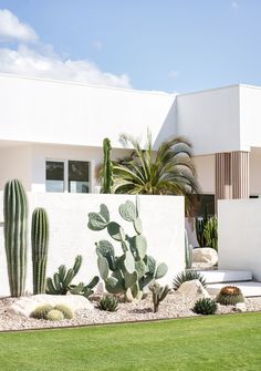 a house with cactus plants in front of it and a large white wall behind it