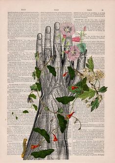 an open hand with flowers and leaves on top of it, in front of a dictionary page