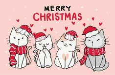 three cats wearing hats and scarfs on a pink background with the words merry christmas