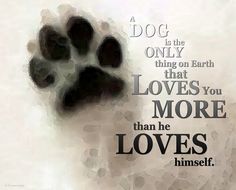 a dog is the only thing on earth that loves you more than he loves himself