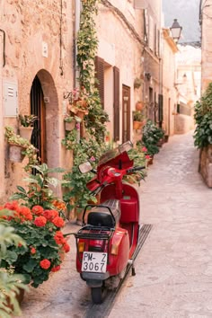 a red scooter parked on the side of a street next to flowers and potted plants