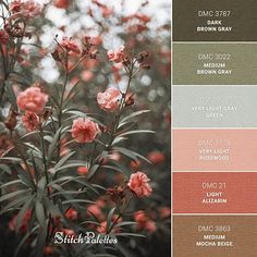 the color scheme for an outdoor garden with pink flowers and green leaves in shades of browns