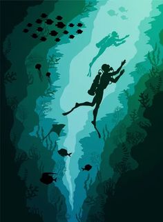 a person swimming in the ocean with fish and other marine life around them, as well as an underwater scene