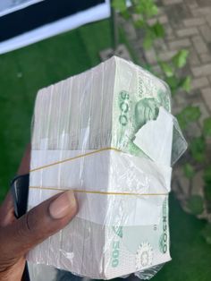 a hand holding a plastic bag filled with money on top of a lush green field