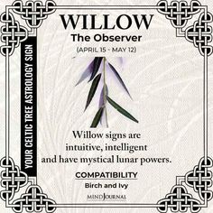 a card with an image of a flower and the words willow in black on it