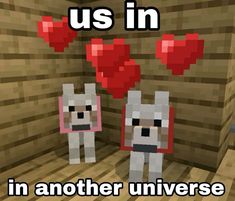 an image of two animals in a minecraft room with text that reads, us in in another universe