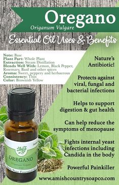 Benefits Of Oregano Oil Capsules, Wild Oregano Oil Benefits, Oregano Essential Oil Benefits, Oregano Tincture Benefits, How To Take Oregano Oil Internally, Oregano Oil Benefits How To Use, Oregano Oil Benefits Internal, Oil Of Oregano Benefits How To Use, Oregano Oil Uses