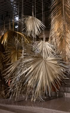 some very pretty hanging plants in a room