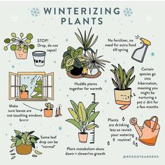 a poster with some plants and other things to do in the wintertime time, including houseplants