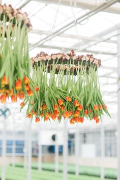 some orange and green flowers hanging from a ceiling