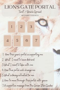 #lionsgateportal #lionsgatetarot #lionsgateoracle #tarotspread #leoseason #lionsgatespread #astrology #divination #spirituality #sirianstarseed #spiritguides Lions Gate Spread, 8 8 Portal, Lions Gate Portal Crystals, August 8 Lions Gate, Lion Gate Portal 8/8, Lions Gate Portal Tarot, Lions Gate Portal 888, Lion's Gate Portal Tarot Spread, 12/12 Portal Tarot Spread