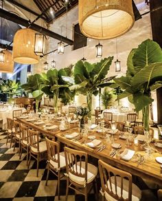 a dining room with tables and chairs covered in plants