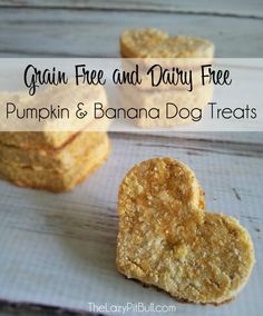 grain free and dairy free pumpkin & banana dog treats on a table with the title overlay