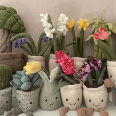 several potted plants with flowers in them on a shelf next to stuffed animals and books