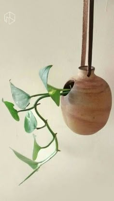 a vase hanging from a string with a plant in the bottom right hand corner and another one on the other side