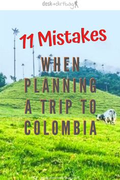 cows grazing in a field with the words 11 mistakes when planning a trip to colombia