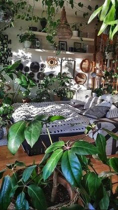 a room filled with lots of green plants next to a bed and shelves on the wall