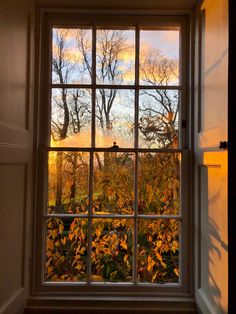 an open window with the view of trees outside