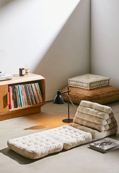 a living room with a couch, bookshelf and other items on the floor