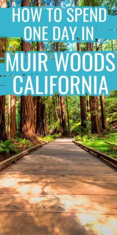 an image of a road with the words how to spend one day in mur woods california