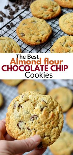 the best almond flour chocolate chip cookies