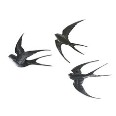 three black birds flying in the sky together