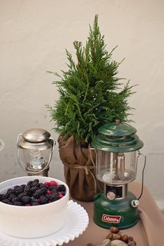 a green lantern sitting next to a potted plant on top of a wooden table