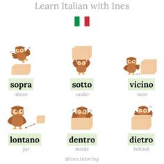 an owl is sitting in a box with the words learn italian with lines and pictures