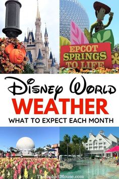 disney world weather what to expect each month