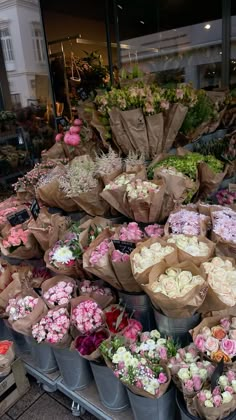 a bunch of flowers that are sitting in buckets on the ground near each other