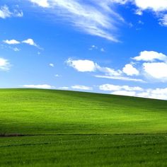 a lone tree stands in the middle of a green field under a blue sky with white clouds