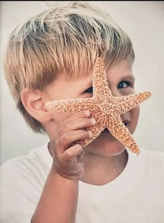 a young boy holding up a starfish to his face