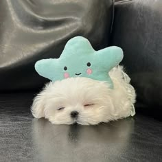 a small white dog laying on top of a black leather couch next to a pillow